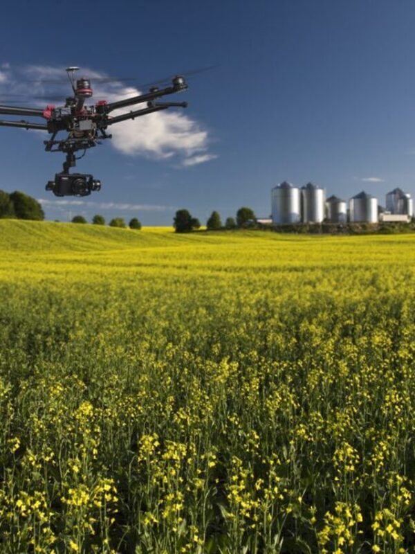 Sviluppare il settore agricolo tramite la tecnologia: l’ambizione cinese