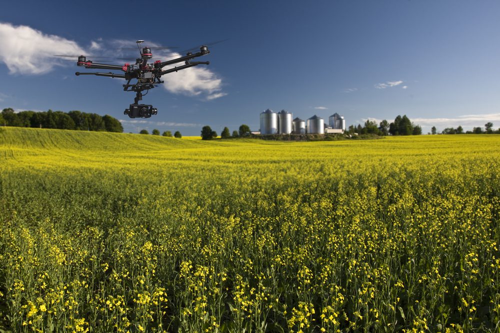 Sviluppare il settore agricolo tramite la tecnologia