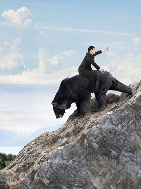 Mercato azionario in ripresa o scherzo del “mercato orso”?